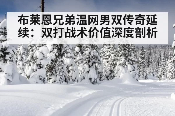 布莱恩兄弟温网男双传奇延续：双打战术价值深度剖析 | leyu